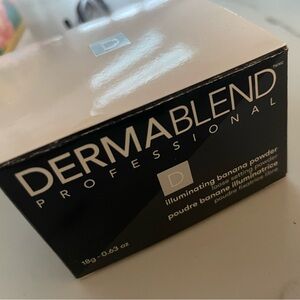 Dermablend loose setting powder